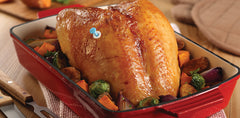 Pop Up® Disposable Cooking Thermometer